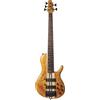 CORT A5 Plus SC (Regular Scale)