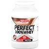 WHY SPORT PERFECT 100% WHEY Proteine Isolate 900g gusto CIOCCOLATO AL LATTE + OMAGGIO