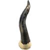 ACAMPORA Corno Portafortuna ACAMPORA CORNO06 Terracotta Bicolore 36 cm
