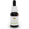 GREEN REMEDIES Bush Flower Essences Fiori Australiani Monga Waratah Gocce 15ml