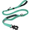 Joytale Guinzaglio tattico, guinzaglio Bungee da 1,2 m-1,8 m con 2 maniglie imbottite, cintura di sicurezza per auto, guinzaglio per cani di taglia media, grande, X-large, Verde acqua