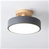 Mengjay Plafoniera LED Soffitto Dimmerabile, Lampada da Soffitto Led Moderna Rotonda 13W, Lampadario Soffitto in Acrilico per Corridoio, Cucina, Soggiorno, Camera, Bagno(20CM) (Grigio-)