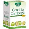 ESI - Garcinia Cambogia Formula Concentrata, Integratore Alimentare con Garcinia e Cambogia, Riduce l'Assorbimento degli Zuccheri e Favorisce il Senso di Sazietà, Senza Glutine e Vegano, 60 Compresse