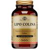 SOLGAR IT. MULTINUTRIENT SpA Solgar Lipo Colina 100 Capsule Vegetali