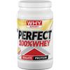 WHY SPORT PERFECT 100% WHEY Proteine Isolate gusto VANIGLIA 450g + OMAGGIO