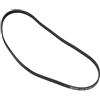 ContiTech CONT ITech 5pk1207 cinghia dentata