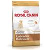 Royal canin labrador junior 12 kg