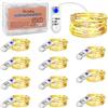 Vacoulery Luci Stringa Led a Batteria con Timer, 12 Pezzi 2m 20 LEDs Micro Luci Stringa Ghirlanda Luminosa Lucine Catena Luminosa Natale per Casa Interni Feste Matrimonio Fai da te(Bianco Caldo) (12 Pezzi)
