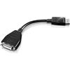 Lenovo 45J7915 cavo e adattatore video 0,2 m DVI-D DisplayPort 45J7915