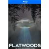 Gravitas Ventures Flatwoods (Blu-ray) Mandy Simpson Brian Ceponis Edward Pfeifer