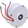 Does not apply Generatore a Magneti Permanenti, Alternatore CA Trifase 200W Generatore Motore E
