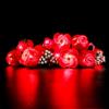 GEAMENT Set di Luci LED Compatibile Con LEGO Bouquet di rose (Bouquet of Roses) - Kit Di Illuminazione per Icons 10328 (Modello di mattoncini non incluso)