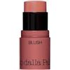 Diego Dalla Palma All In One Blush - Stick Multiuso in crema - Colore: ALL IN ONE STICK 41