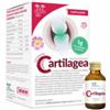 SALUGEA (RELOAD SRL) Cartilagea Salugea 18 Flaconcini Da 12 Ml