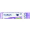 BOIRON Srl CAUSTICUM Tubo 30CH