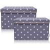 LIFENEY Set di 2 contenitori per bambini (37 x 25 x 21 cm), cestino portaoggetti per cameretta dei bambini e salotto (stella grigio scuro)