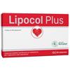 Anvest Health Lipocol Plus integratore a base di recapsoma per trigliceridi e del colesterolo 30 compresse