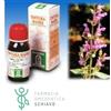 Specchiasol Soluzione Idroalcolica 25 Salvia 50ml