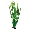 Hobby Vallisneria - 46 cm