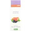 Derbe shampoo anti untuosita