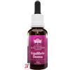 BUSH BIOTHERAPIES PTY LTD EQUILIBRIO DONNA ESSENZA AUSTRALIAN BUSH FLOWERS 30 ML
