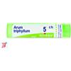 BOIRON SRL ARUM TRIPHYLLUM (BOIRON)*80 granuli 5 CH contenitore multidose 4G