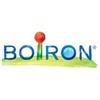 BOIRON SRL ARSENICUM ALBUM (BOIRON)*granuli 200 CH contenitore monodose 1G