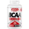 WHY SPORT BCAA 1000 + B6 - BCAA 2.1.1 - Aminoacidi Ramificati con Vitamina B6 (200)