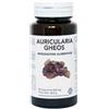 GHEOS Srl AURICULARIA GHEOS 90CPS