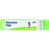 Boiron AESCULUS HIPPOCASTANUM 5 CH GRANULI 4G