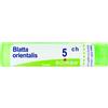 Boiron BLATTA ORIENTALIS 5CH GRANULI 4G