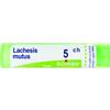 Boiron LACHESIS MUTUS 5 CH GRANULI 4G