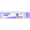 Boiron LACHESIS MUTUS 30 CH GRANULI 4G