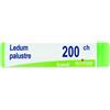 Boiron LEDUM PALUSTRE 200CH GLOBULI 1G