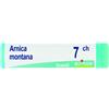Boiron ARNICA MONTANA 7CH DILUIZIONE HAHNEMANNIANA CENTESIMALE IN GLOBULI 1G