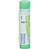 Boiron CROTALUS HORRIDUS 5CH GRANULI 4G