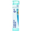 Boiron COCCULUS INDICUS 6CH GRANULI 4G