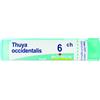 Boiron THUYA OCCIDENT 6CH GRANULI 4G