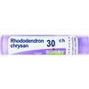Boiron RHODODENDRON CHRYSAN 30CH GRANULI 4G