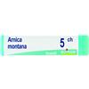 Boiron ARNICA MONTANA 5CH DILUIZIONE HAHNEMANNIANA CENTESIMALE IN GLOBULI 1G