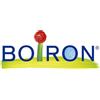 Boiron VIOLA TRICOLOR TINTURA MADRE 60 ML