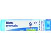 Boiron BLATTA ORIENTALIS 9CH GRANULI 4G