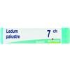 Boiron LEDUM PALUSTRE 7CH GLOBULI 1G
