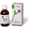 Fitomedical BETULLA PUBESCENS GEMME MACERATO GLICERICO 50 ML