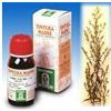 Specchiasol VERGA ORO 26 50ML TM