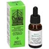 Alkaest MGS3 BETULLA MACERATO GLICERICO SPG 20 ML