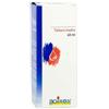 Boiron SOLIDAGO VIRGA AUREA TINTURA MADRE 60 ML