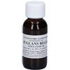 Sarandrea Marco JUGLANS REGIA 60 ML MACERATO GLICERICO