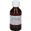 Sarandrea Marco ZENZERO 100ML TINTURA MADRE