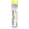 Cemon SYMPHYTUM OFFICINALE 200CH GRANULI